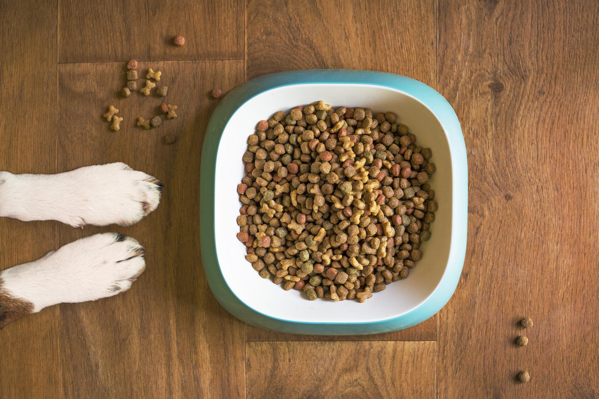 Tips Til Valg Af Hundefoder